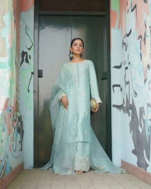 Afsana Silk Embroidery Dress | Stitched & Unstitched