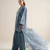 Frost_2 Frost Steel Blue (DHANAK) Embroidered Dress | Stitched & Unstitched