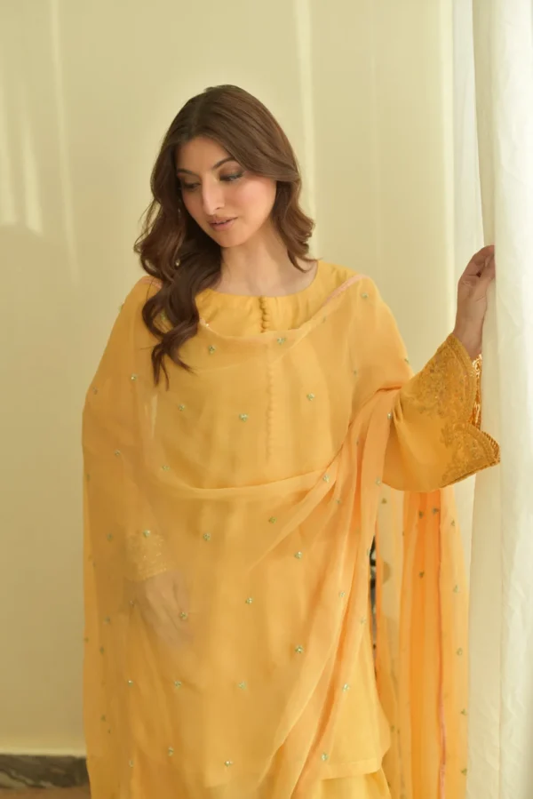 Honey Aura Dhanak Embroidered Dress | Stitched & Unstitched