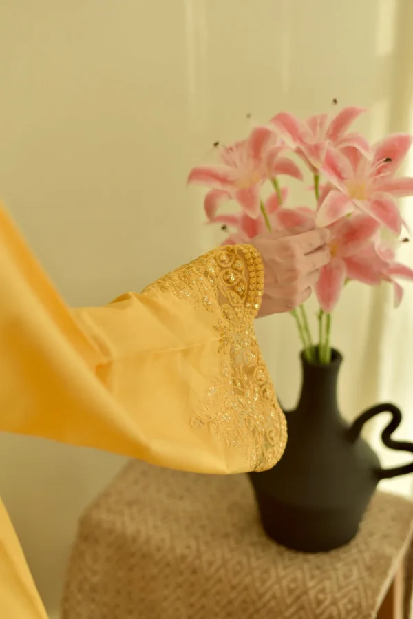 Honey Aura Dhanak Embroidered Dress | Stitched & Unstitched