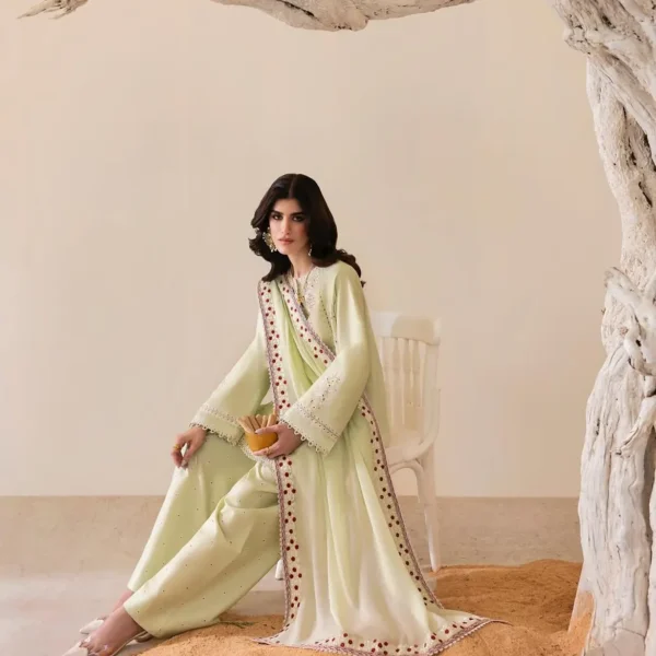Nashwa LAWN 3-Piece Embroidered Dress | Stitched & Unstitched