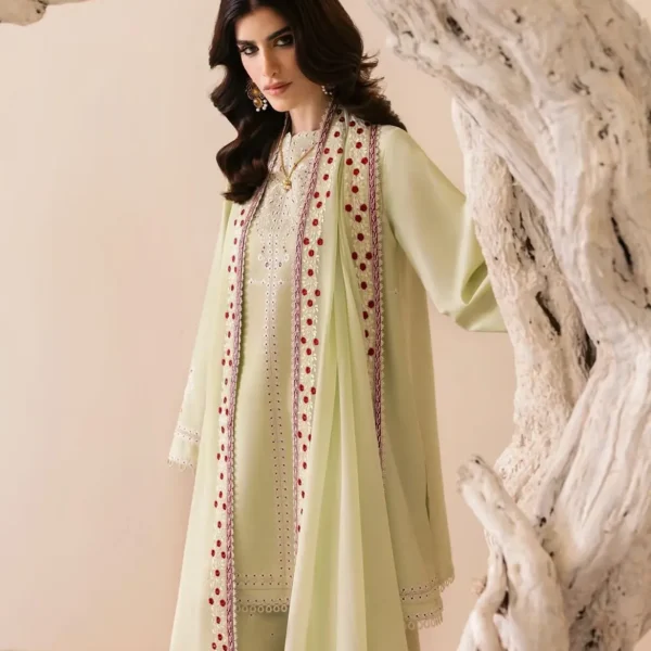 Nashwa LAWN 3-Piece Embroidered Dress | Stitched & Unstitched
