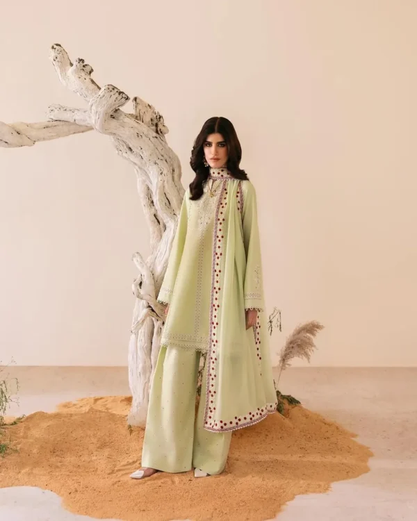 Nashwa LAWN 3-Piece Embroidered Dress | Stitched & Unstitched