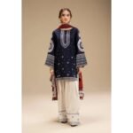Rangrez Embroidered Farshi Shalwar Dress | Stitched & Unstitched