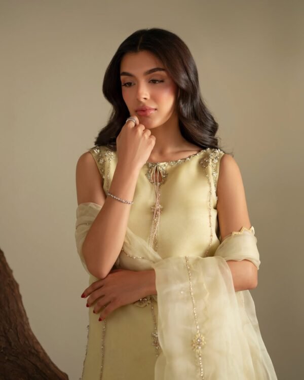 Ryna Organza Hand made Embroidered Plazo Dress | Stitched & Unstitched