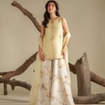 Ryna Organza Hand made Embroidered Plazo Dress | Stitched & Unstitched