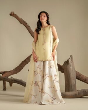 RYNA 2 Ryna Organza Hand made Embroidered Plazo Dress | Stitched & Unstitched