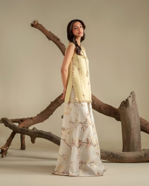 Ryna Organza Hand made Embroidered Plazo Dress | Stitched & Unstitched