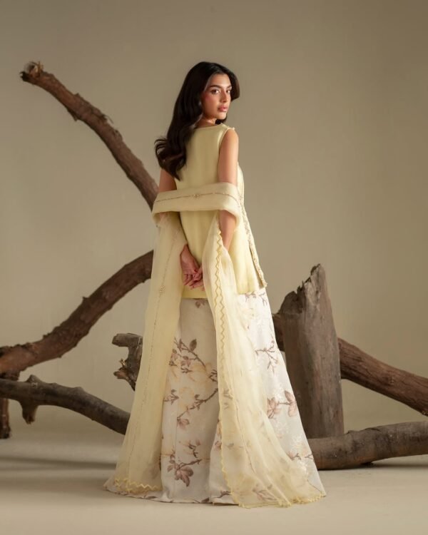 Ryna Organza Hand made Embroidered Plazo Dress | Stitched & Unstitched