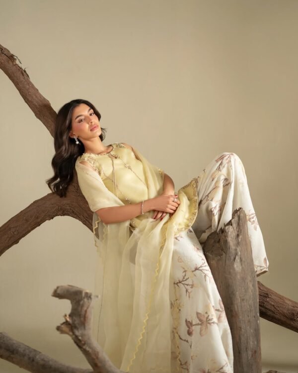 Ryna Organza Hand made Embroidered Plazo Dress | Stitched & Unstitched
