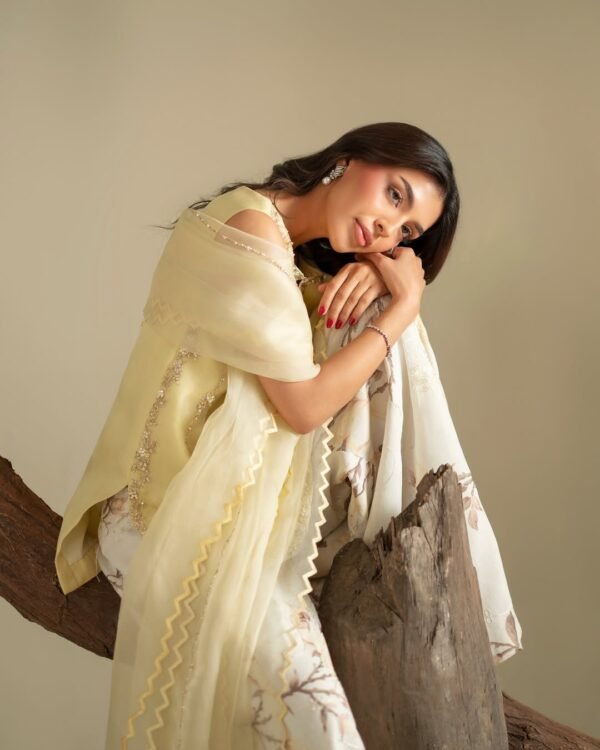 Ryna Organza Hand made Embroidered Plazo Dress | Stitched & Unstitched