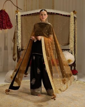 SABROZ 1 Sabroz Embroidered Farshi Shalwar Dress | Stitched & Unstitched