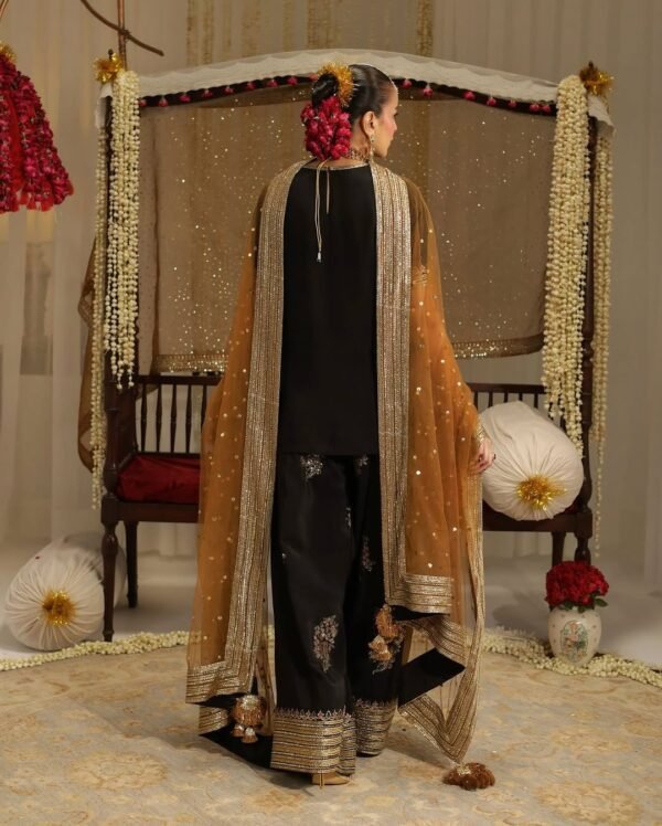 Sabroz Embroidered Farshi Shalwar Dress | Stitched & Unstitched