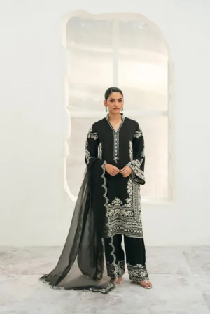 Starlight Dhanak High Density Embroidered Dress | Stitched & Unstitched