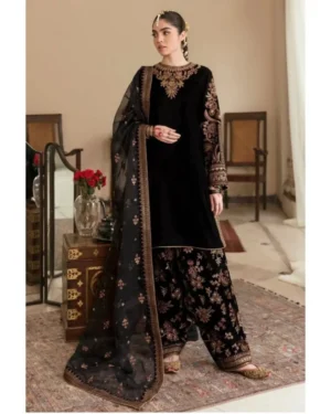 Article Name- Shadow Elegence Material- 3 pieces velvet embroidery dressDupatta- Organza with e (4) Shadow Elegance 3-Piece Velvet Embroidered Dress | Stitched