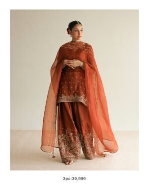 CHAMKELI 26 - RUST Shamooz silk short shirt and farshi shalwar with badla, tilla, risham and se (6).jpg Copper Rose (DHANAK) 3-Piece Tilla & Sequins Ensemble | Stitched & Unstitched